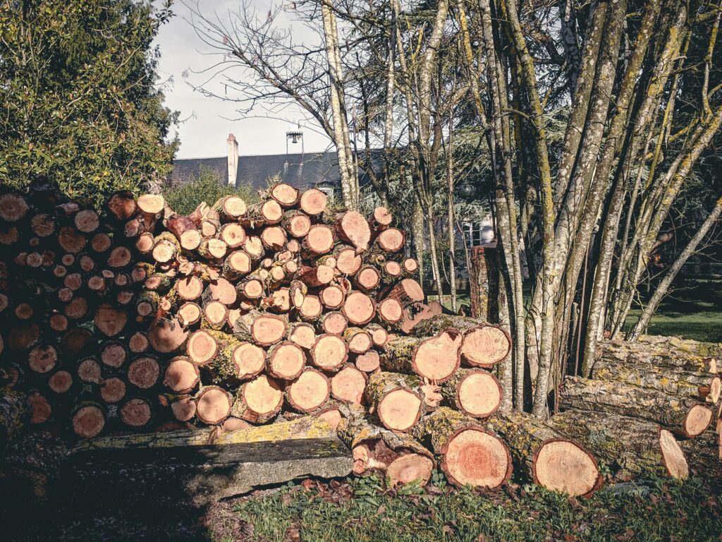 Land Clearing - Branch Manager Tree Service